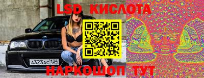 гидропоника Краснокаменск